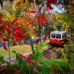 Собрать пазл осень